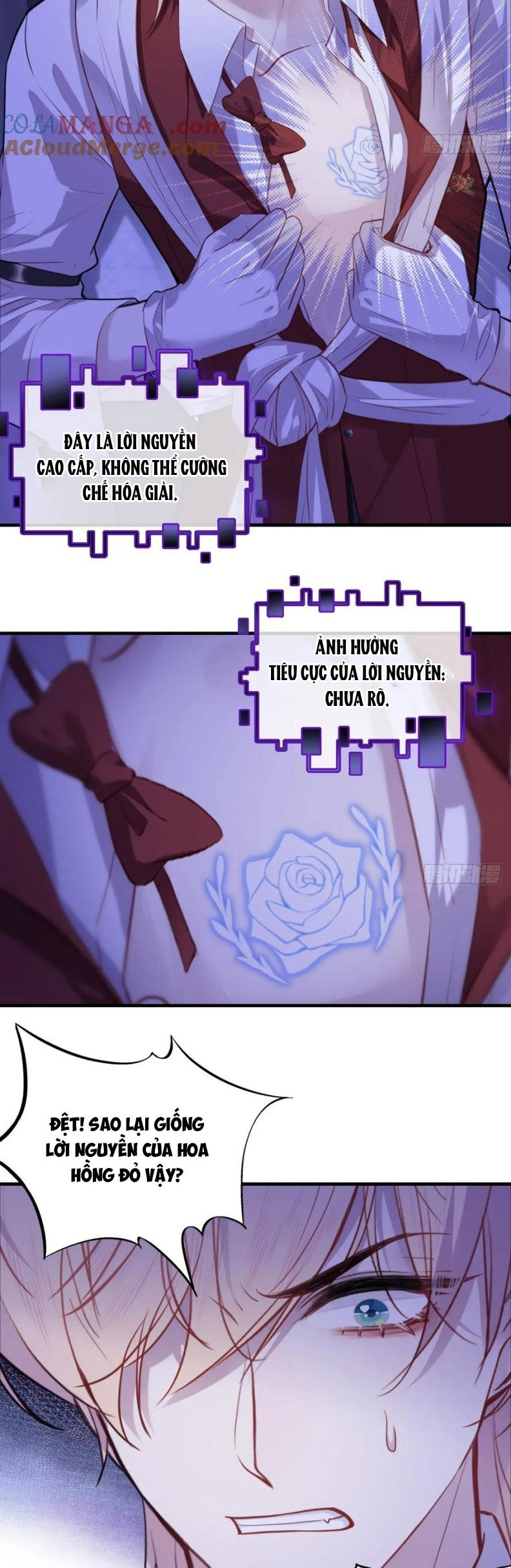 Anh Ấy Chưa Từng Rơi Xuống Chapter 121 - 21