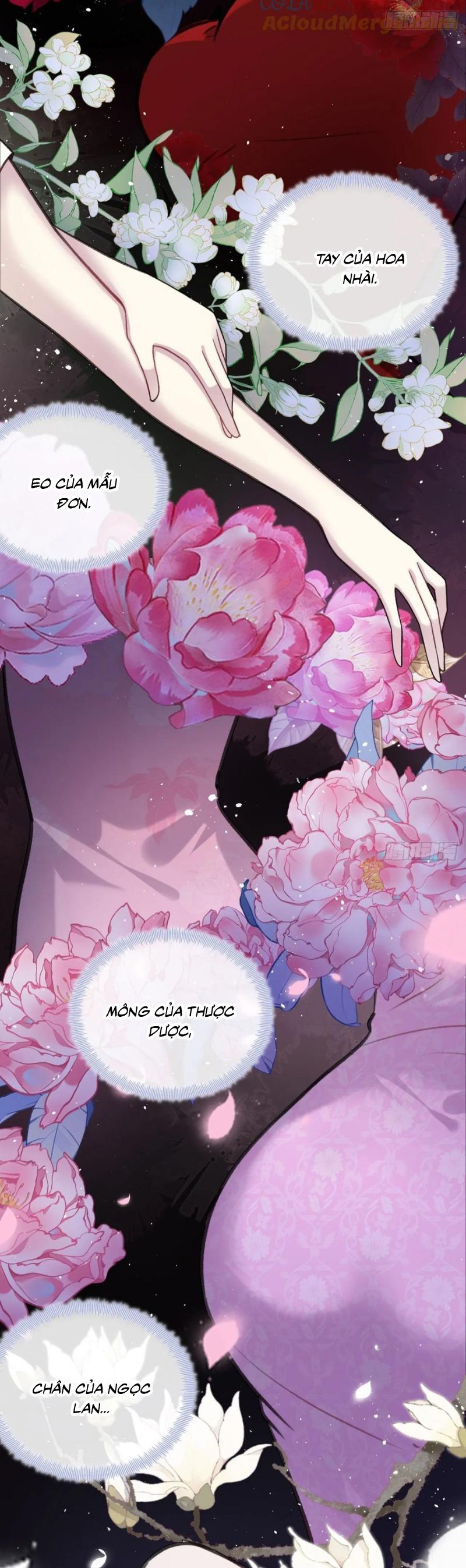 Anh Ấy Chưa Từng Rơi Xuống Chapter 122 - 22