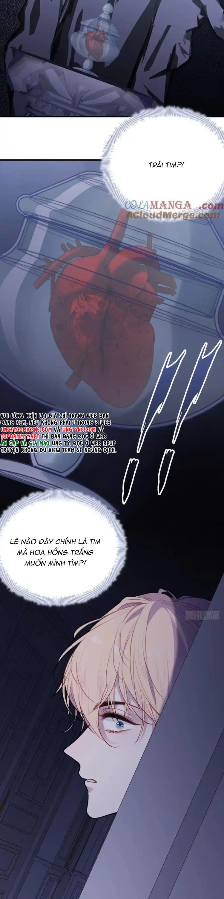 Anh Ấy Chưa Từng Rơi Xuống Chapter 123 - 7