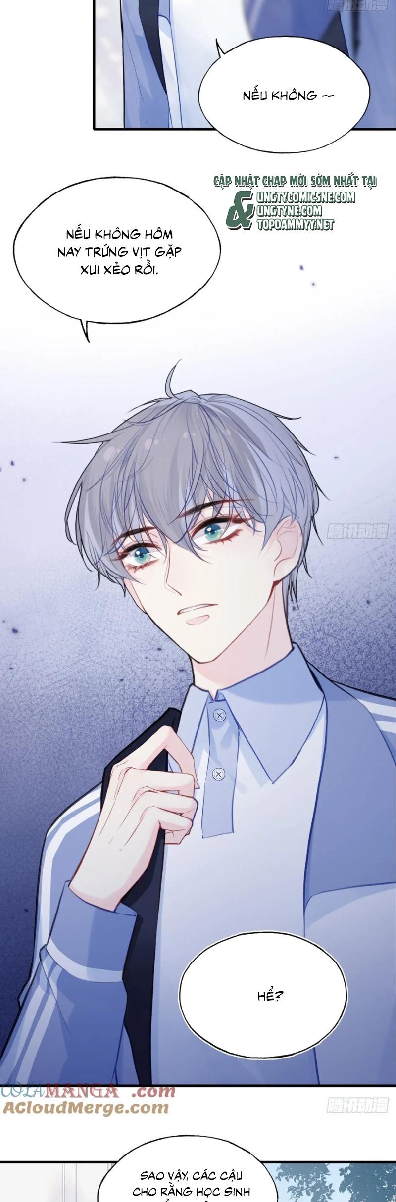 Anh Ấy Chưa Từng Rơi Xuống Chapter 126 - 5