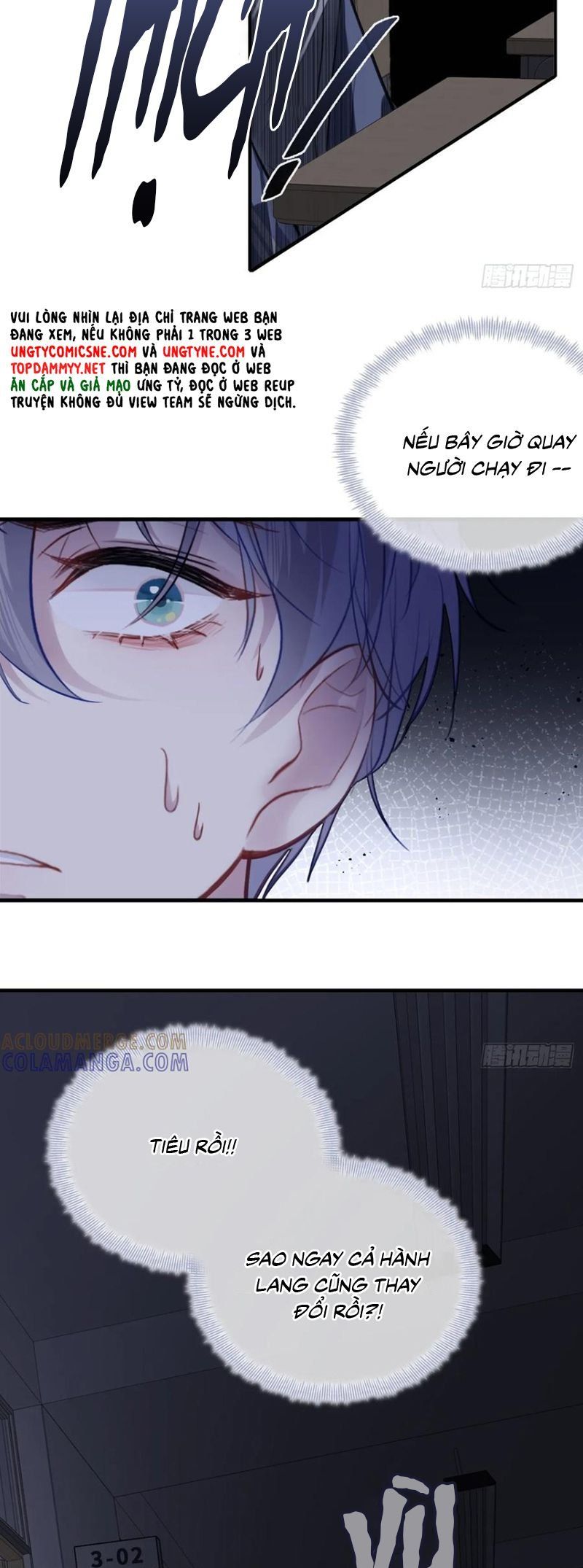 Anh Ấy Chưa Từng Rơi Xuống Chapter 133 - 6