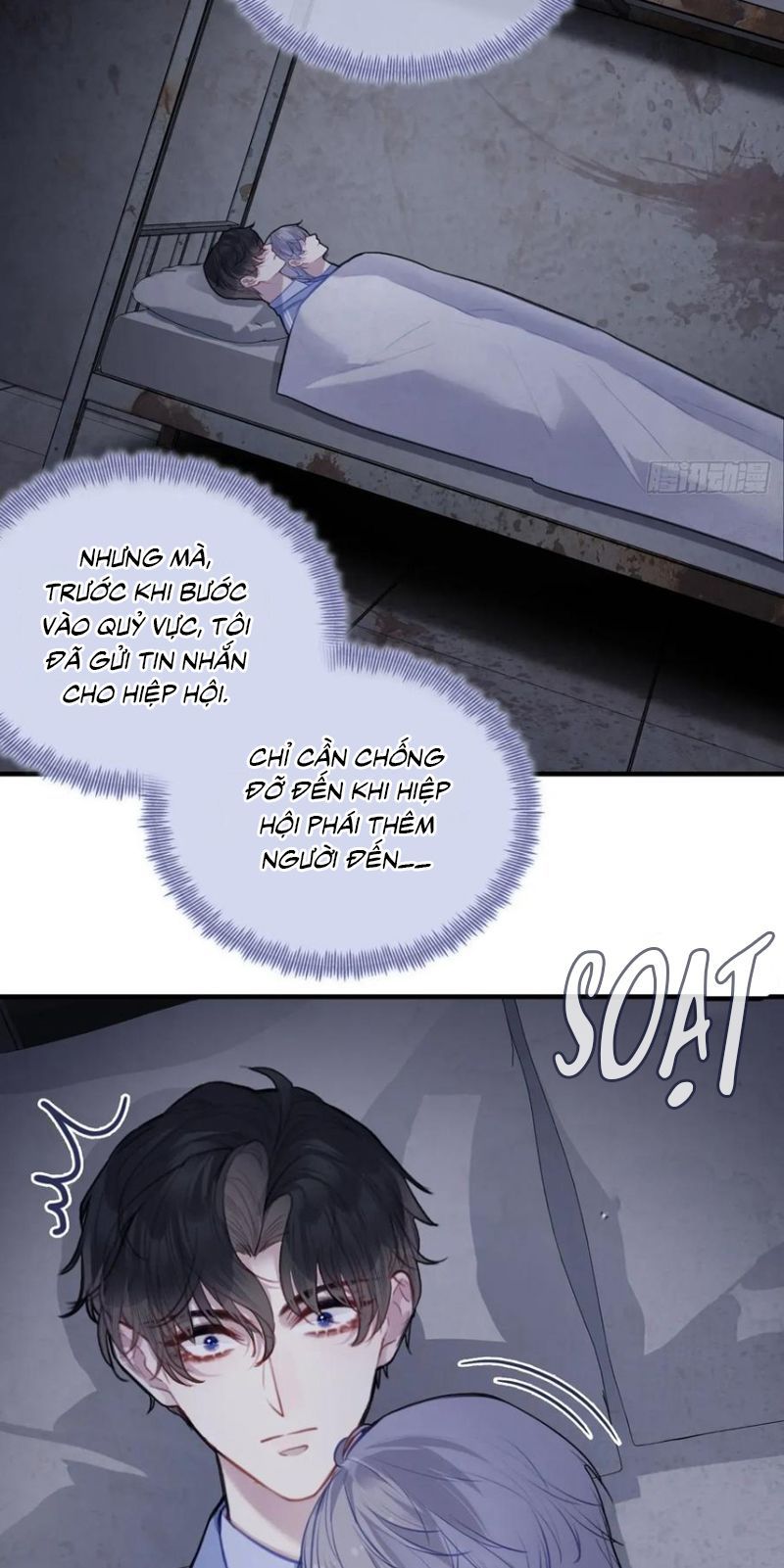 Anh Ấy Chưa Từng Rơi Xuống Chapter 136 - 12