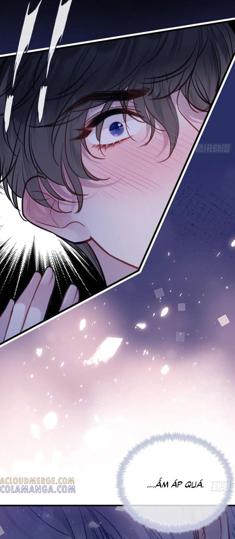 Anh Ấy Chưa Từng Rơi Xuống Chapter 136 - 21