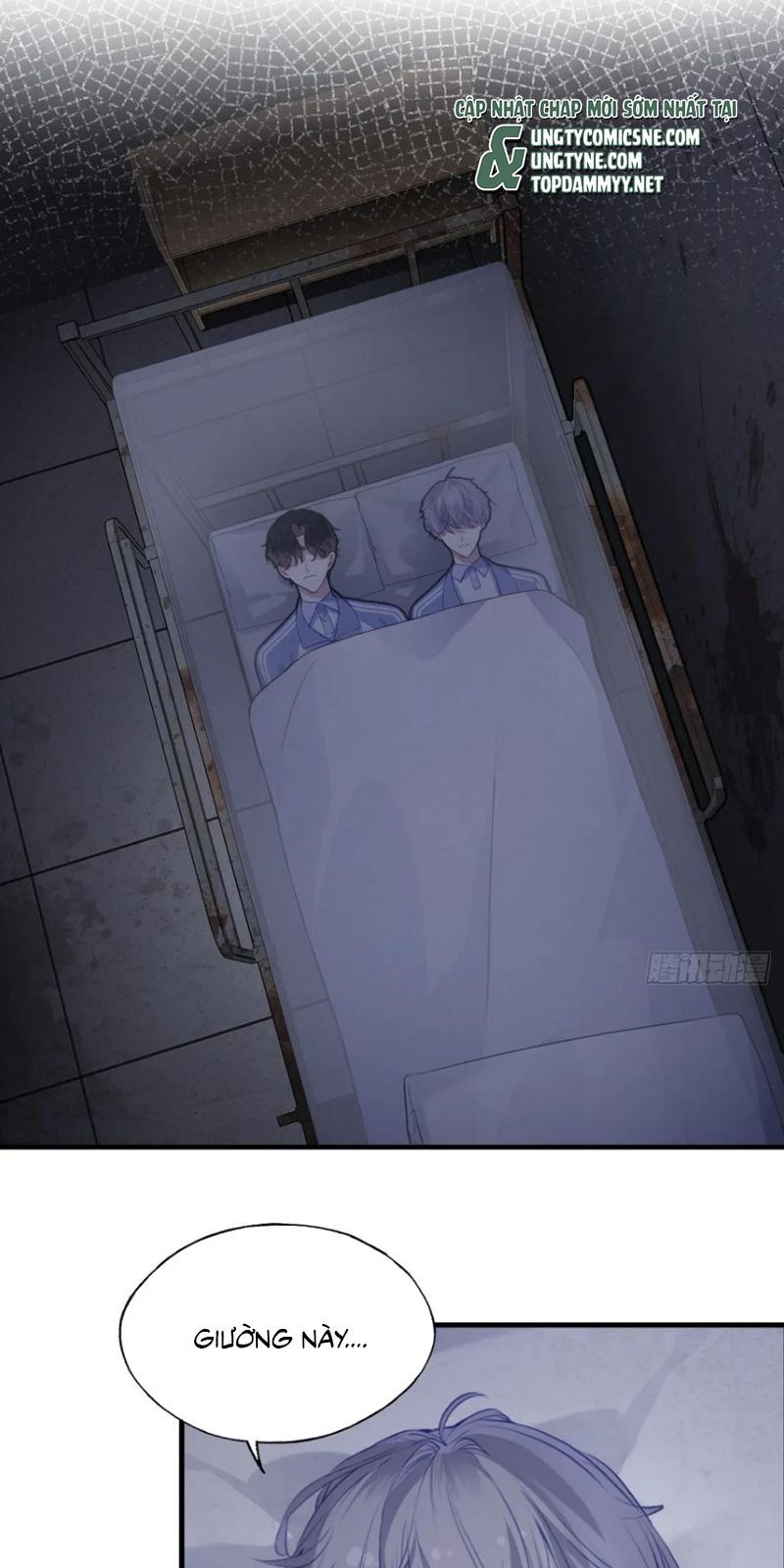 Anh Ấy Chưa Từng Rơi Xuống Chapter 136 - 5