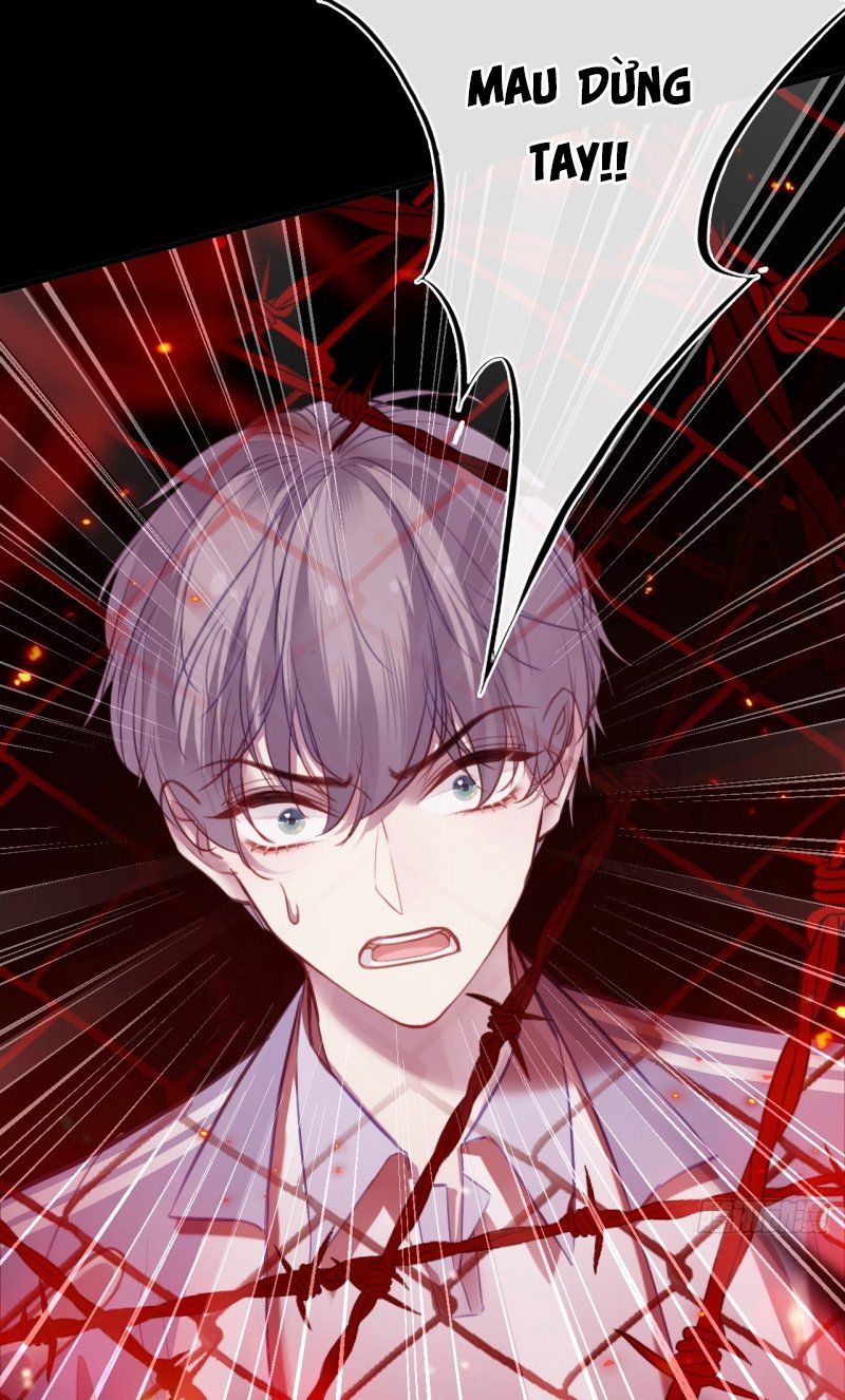 Anh Ấy Chưa Từng Rơi Xuống Chapter 142 - 39