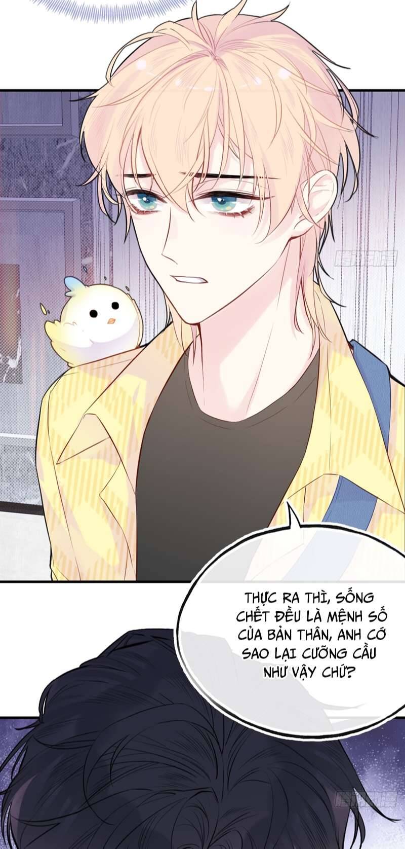 Anh Ấy Chưa Từng Rơi Xuống Chapter  15 - 29