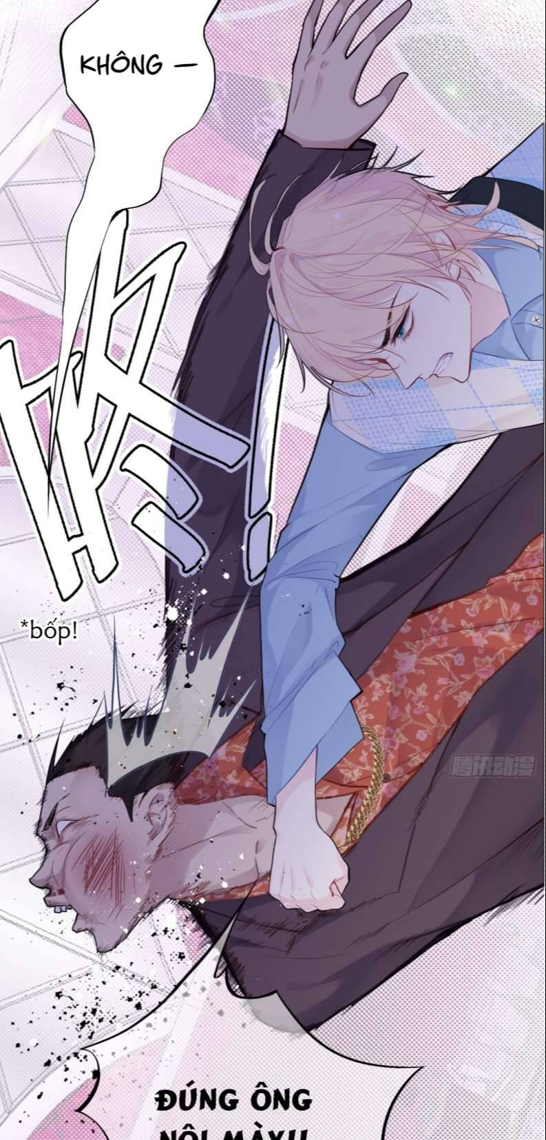 Anh Ấy Chưa Từng Rơi Xuống Chapter 17 - 13