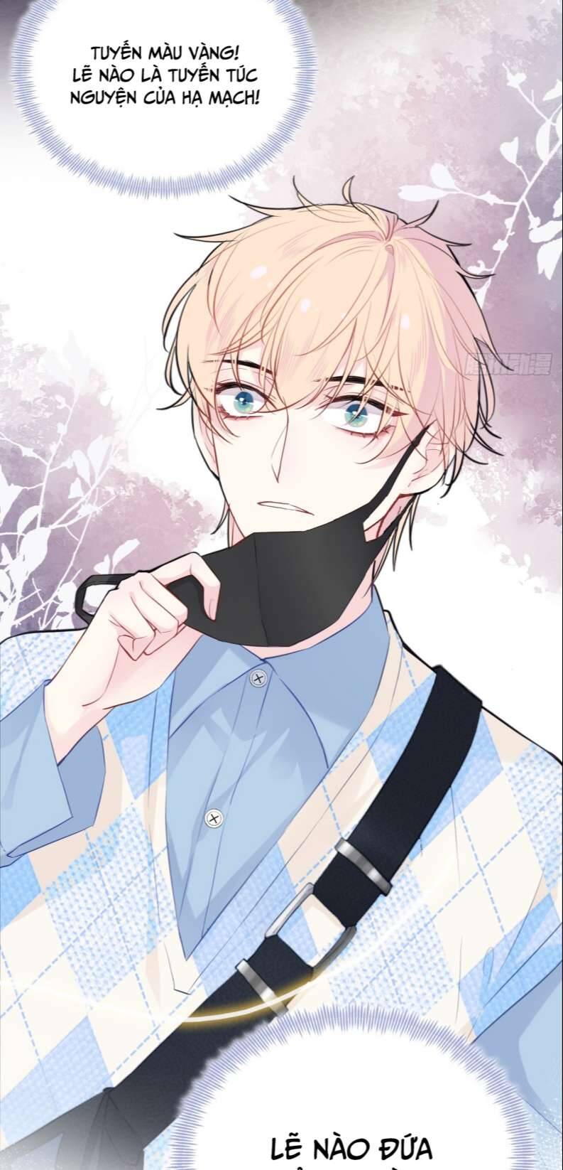 Anh Ấy Chưa Từng Rơi Xuống Chapter  17 - 39