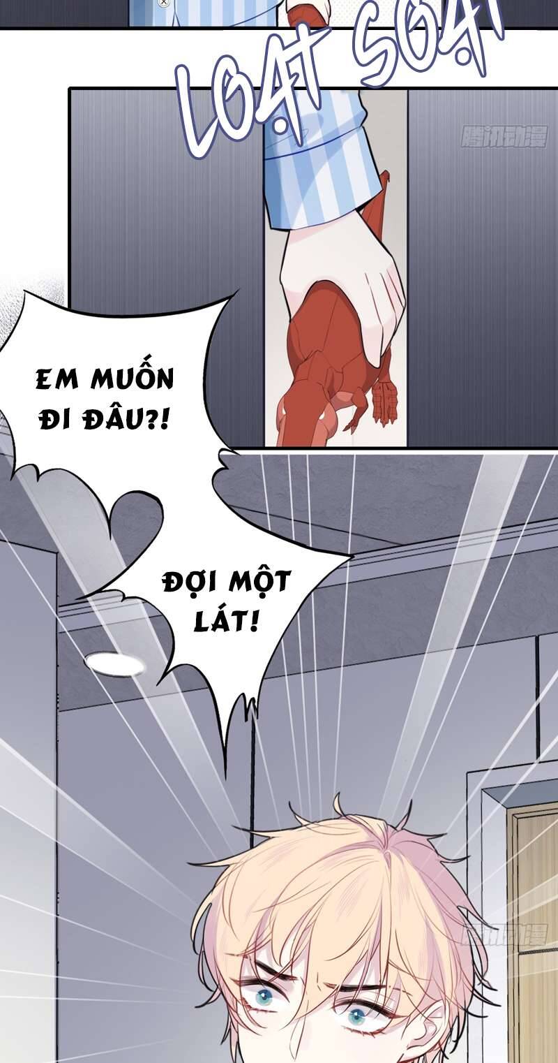 Anh Ấy Chưa Từng Rơi Xuống Chapter  20 - 27