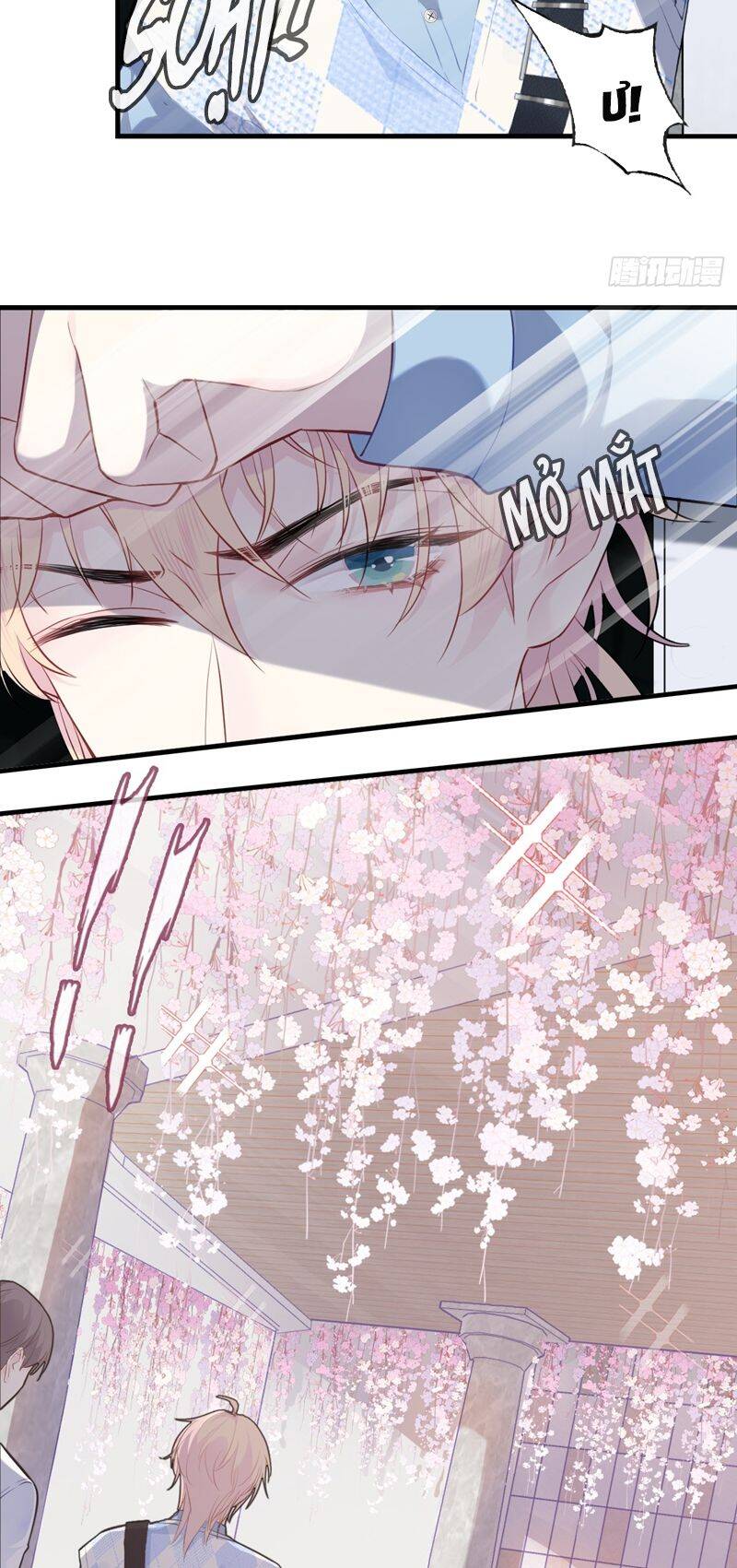 Anh Ấy Chưa Từng Rơi Xuống Chapter  31 - 22