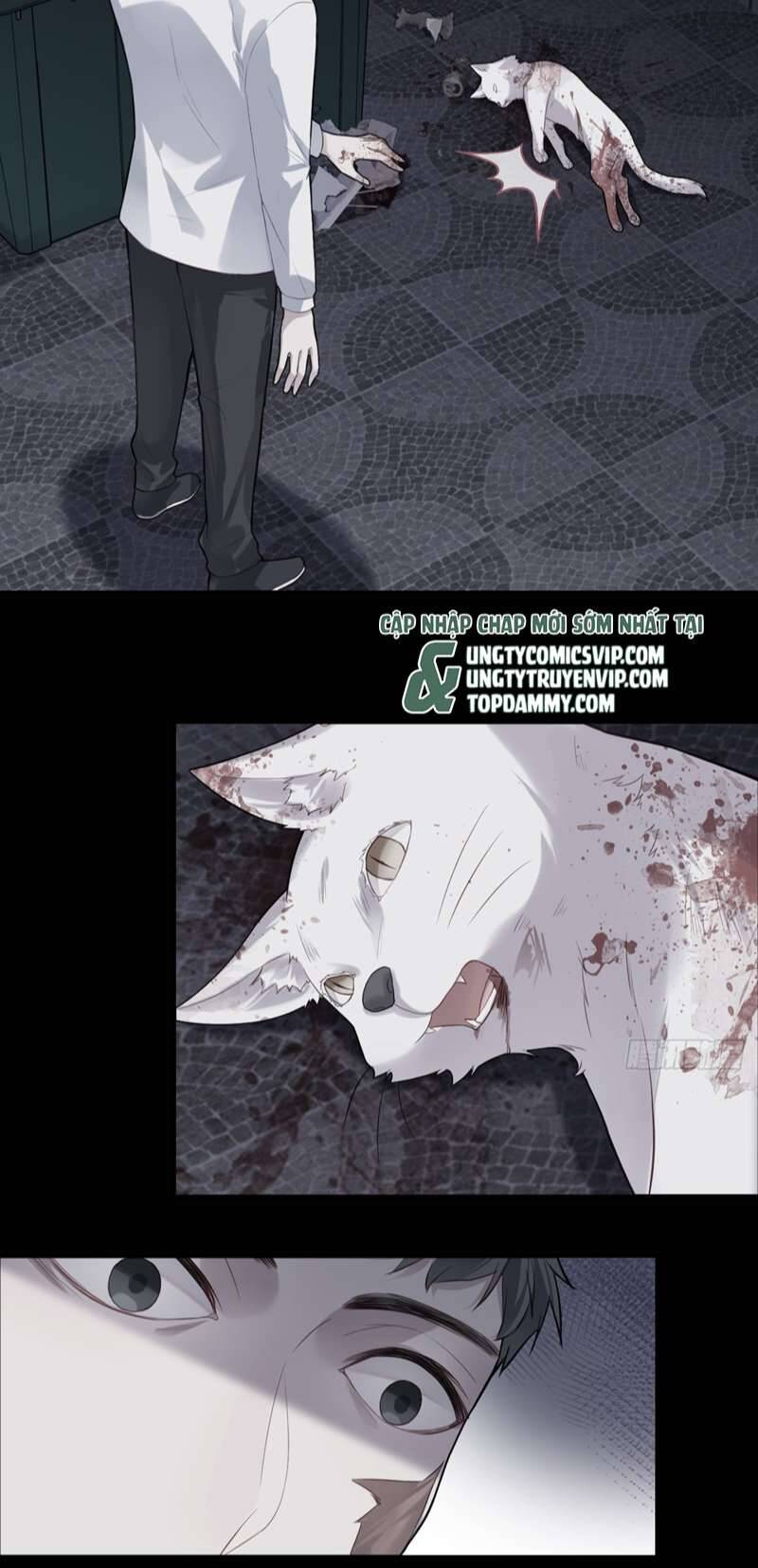 Anh Ấy Chưa Từng Rơi Xuống Chapter  35 - 17