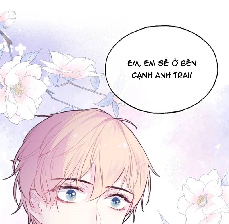 Anh Ấy Chưa Từng Rơi Xuống Chapter 45 - 51