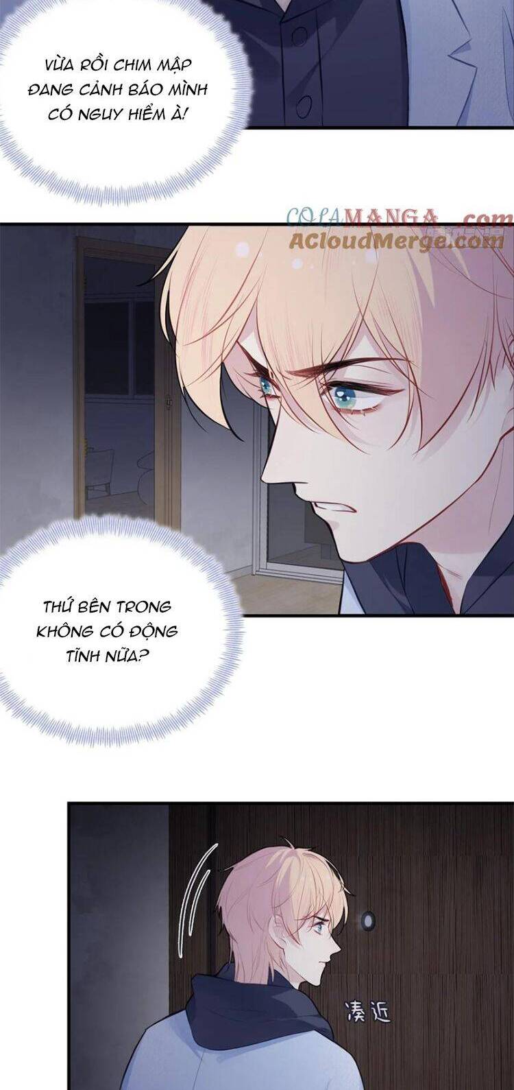 Anh Ấy Chưa Từng Rơi Xuống Chapter  71 - 10