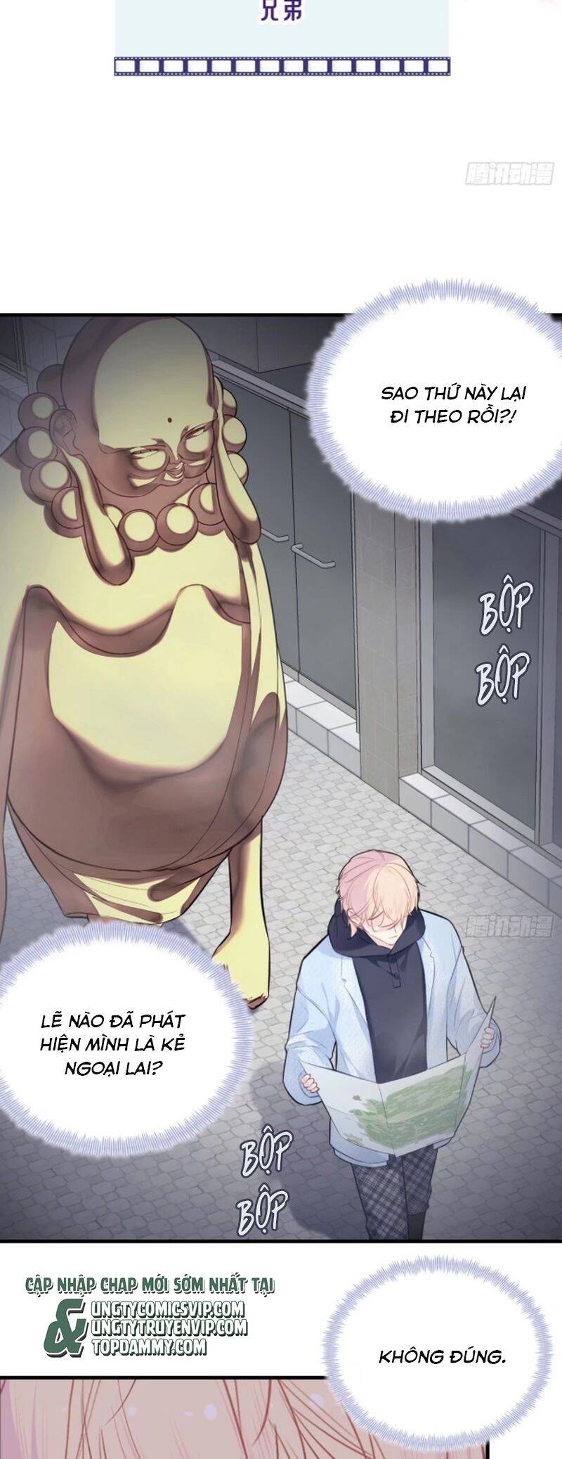 Anh Ấy Chưa Từng Rơi Xuống Chapter  74 - 4