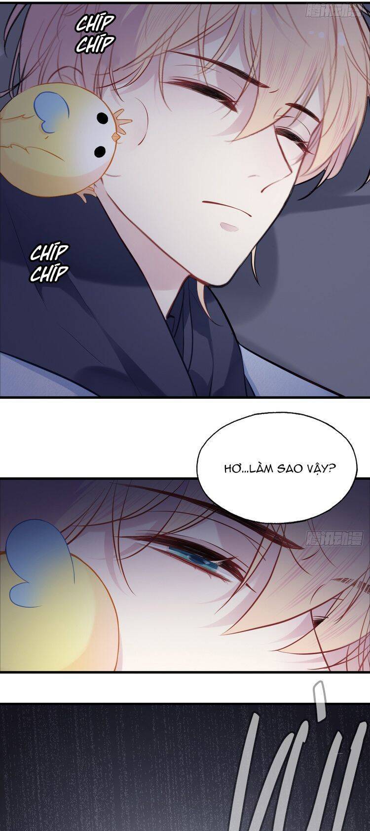 Anh Ấy Chưa Từng Rơi Xuống Chapter  76 - 20