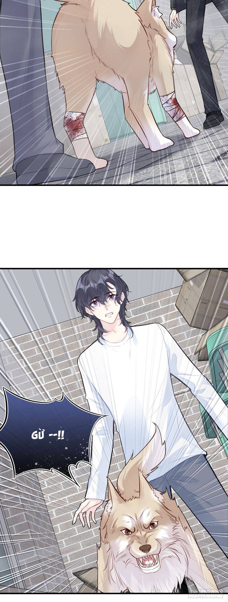 Anh Ấy Chưa Từng Rơi Xuống Chapter 78 - 15