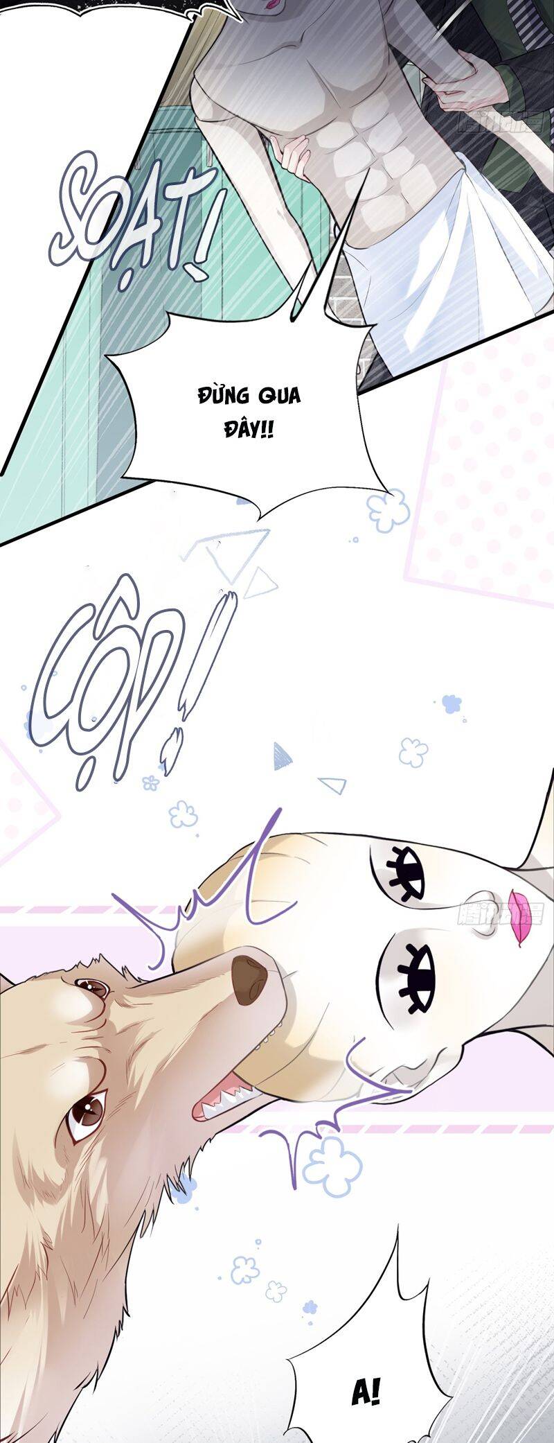 Anh Ấy Chưa Từng Rơi Xuống Chapter  78 - 17
