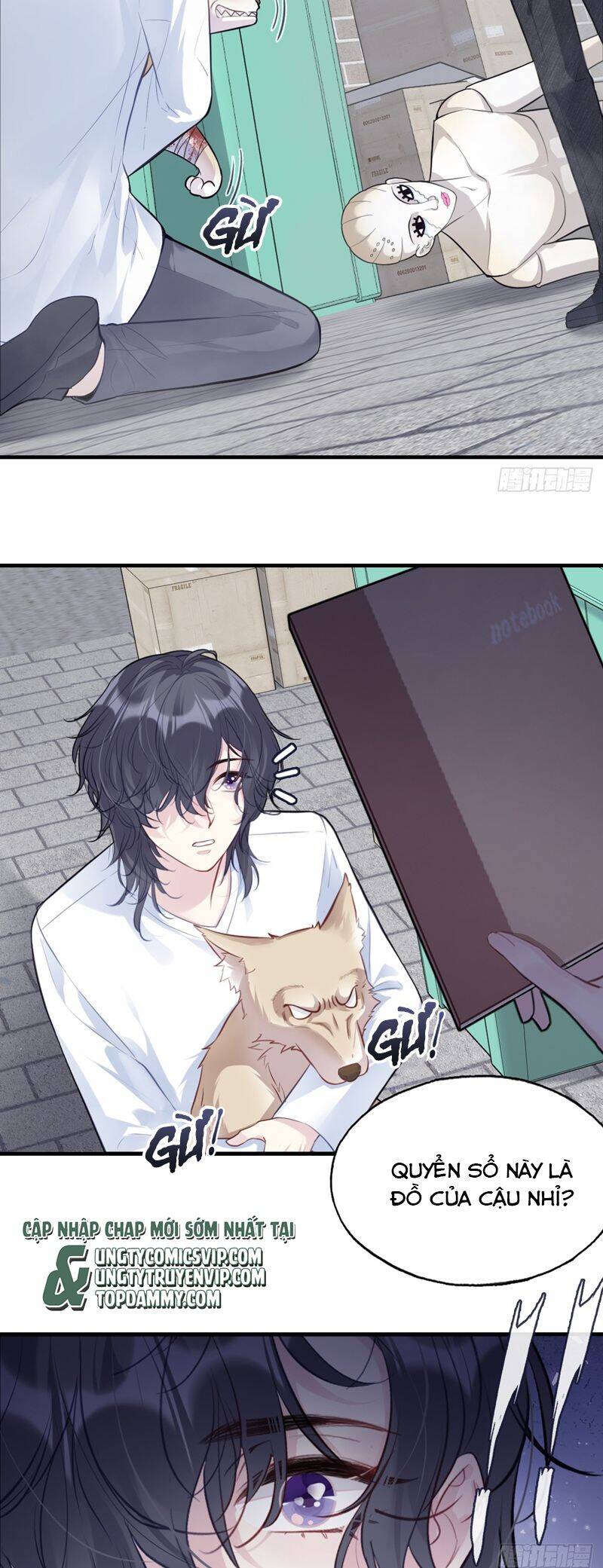 Anh Ấy Chưa Từng Rơi Xuống Chapter 78 - 21