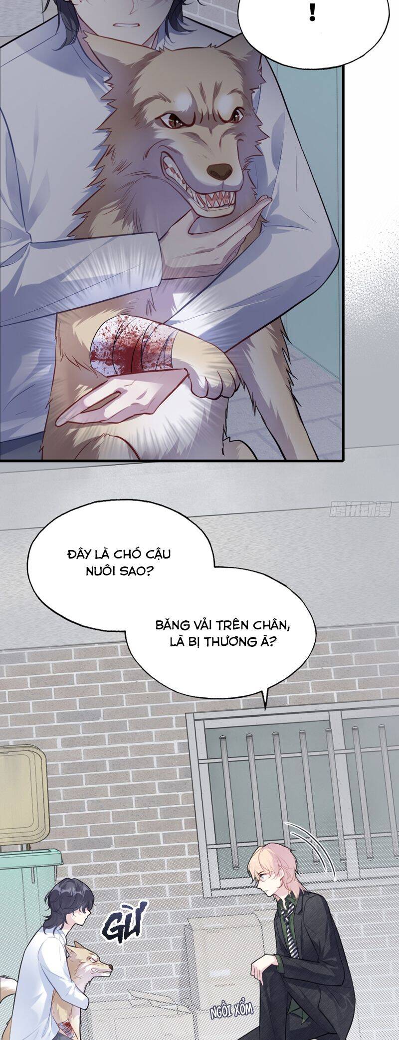 Anh Ấy Chưa Từng Rơi Xuống Chapter 78 - 24