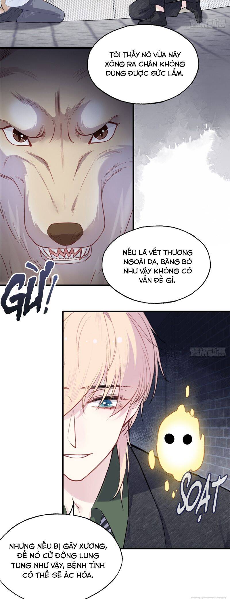 Anh Ấy Chưa Từng Rơi Xuống Chapter  78 - 25