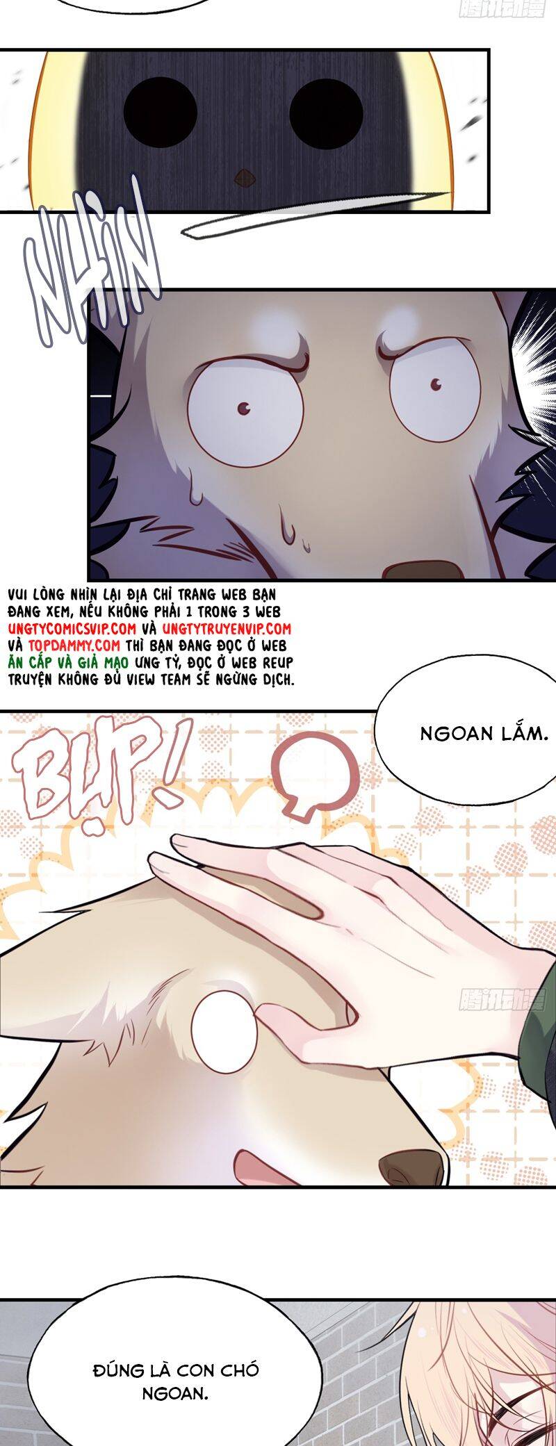 Anh Ấy Chưa Từng Rơi Xuống Chapter  78 - 26