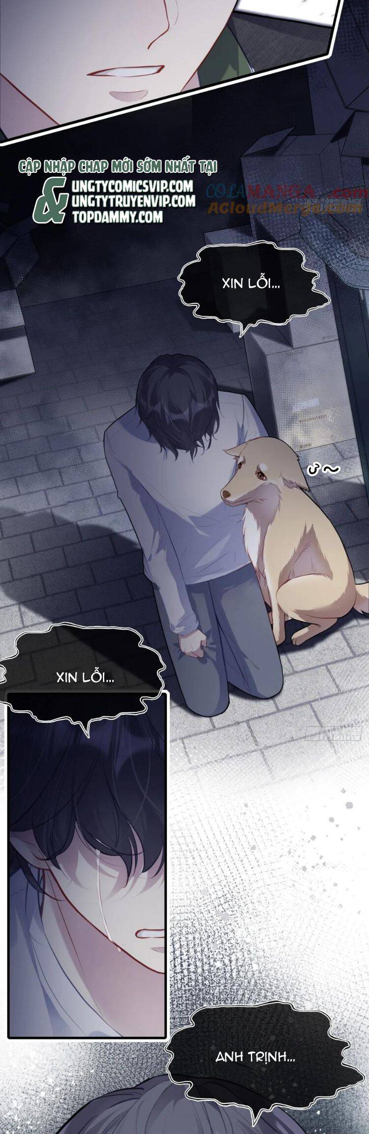Anh Ấy Chưa Từng Rơi Xuống Chapter  79 - 21