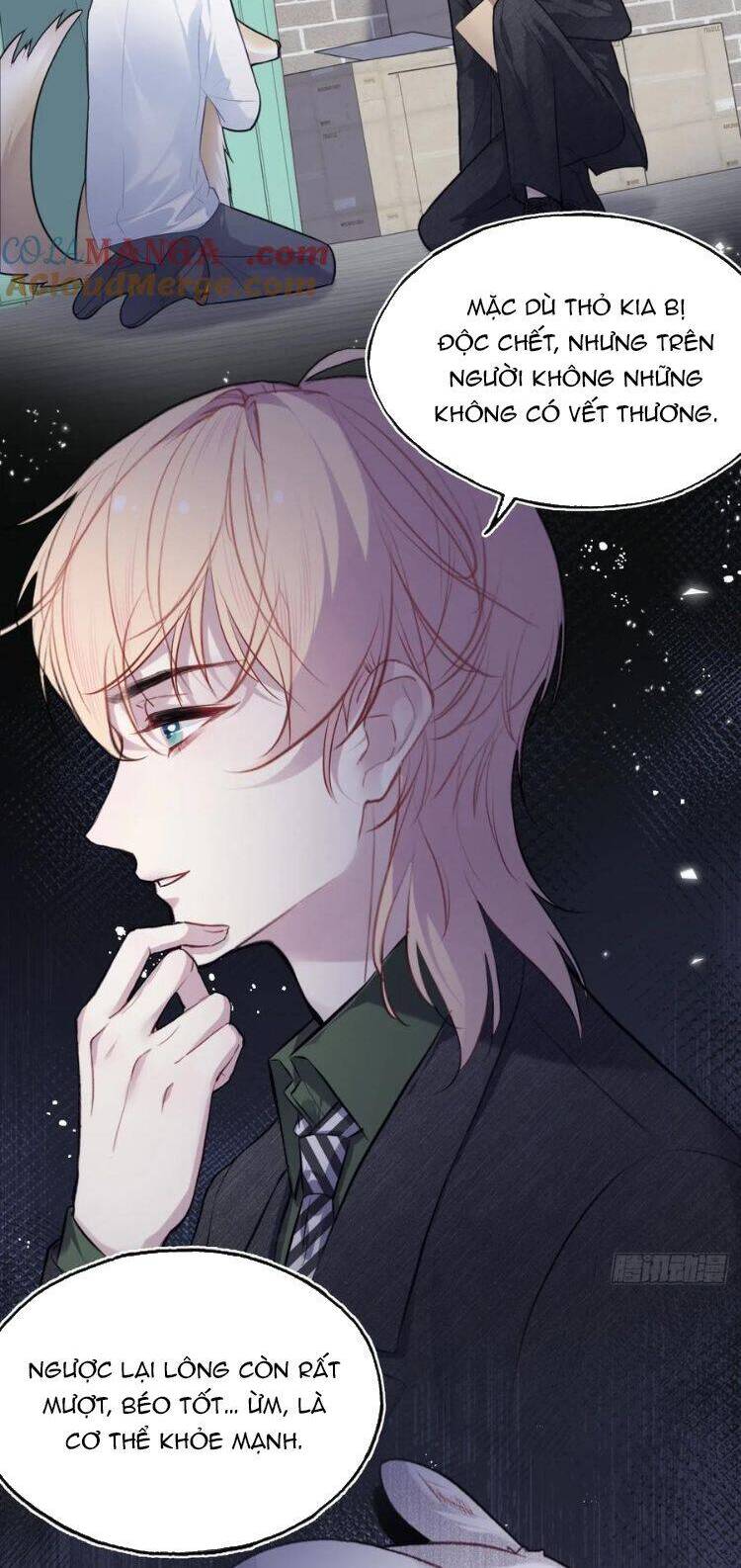 Anh Ấy Chưa Từng Rơi Xuống Chapter 79 - 6