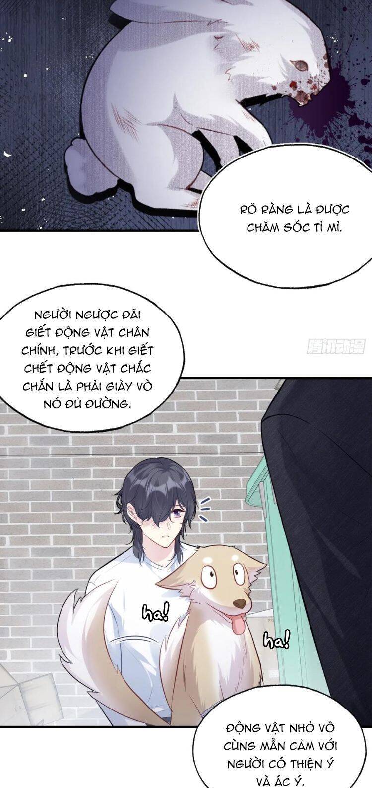 Anh Ấy Chưa Từng Rơi Xuống Chapter 79 - 7