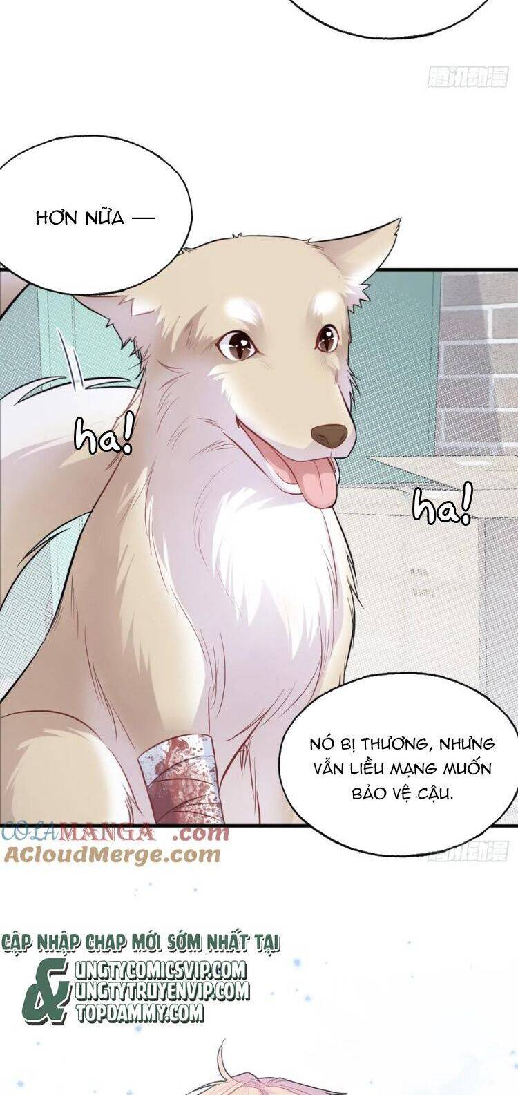 Anh Ấy Chưa Từng Rơi Xuống Chapter  79 - 8