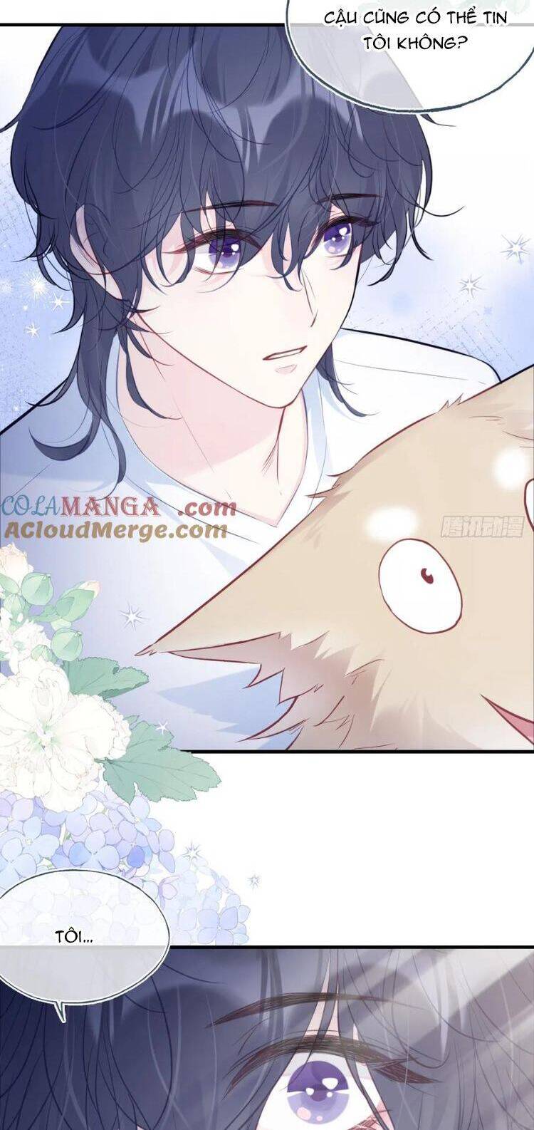 Anh Ấy Chưa Từng Rơi Xuống Chapter 79 - 10