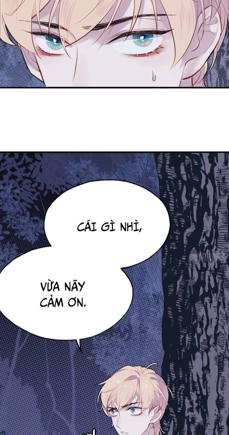 Anh Ấy Chưa Từng Rơi Xuống Chapter 8 - 8