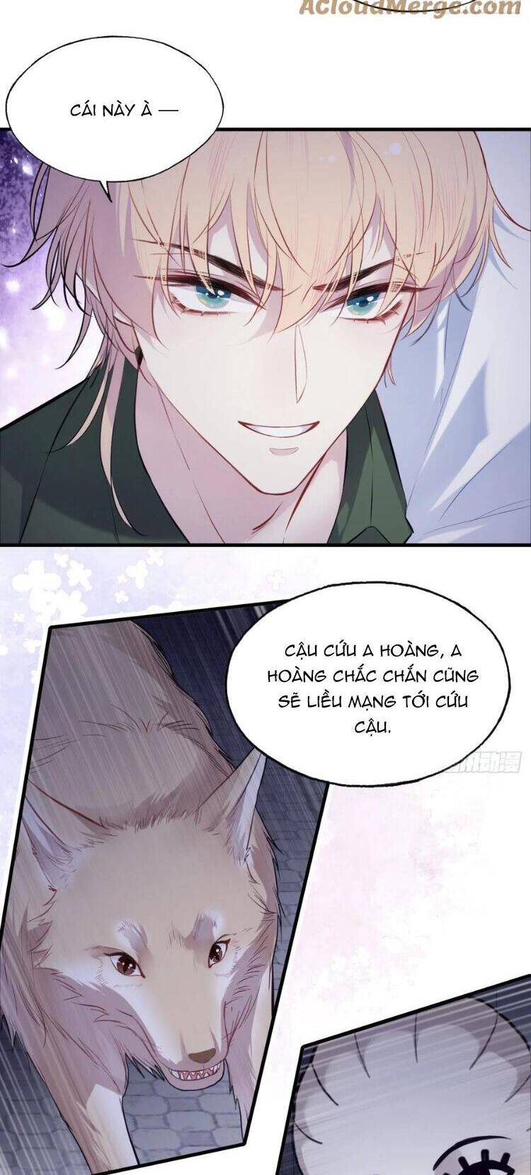 Anh Ấy Chưa Từng Rơi Xuống Chapter  82 - 24