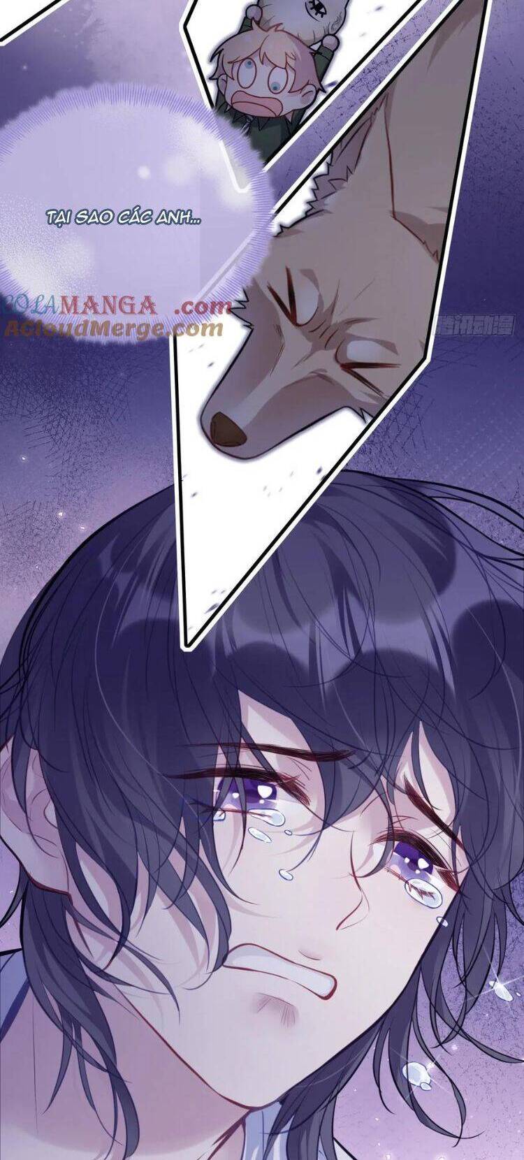 Anh Ấy Chưa Từng Rơi Xuống Chapter 82 - 30
