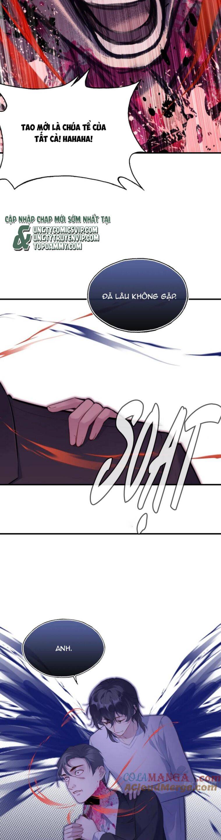 Anh Ấy Chưa Từng Rơi Xuống Chapter  84 - 20