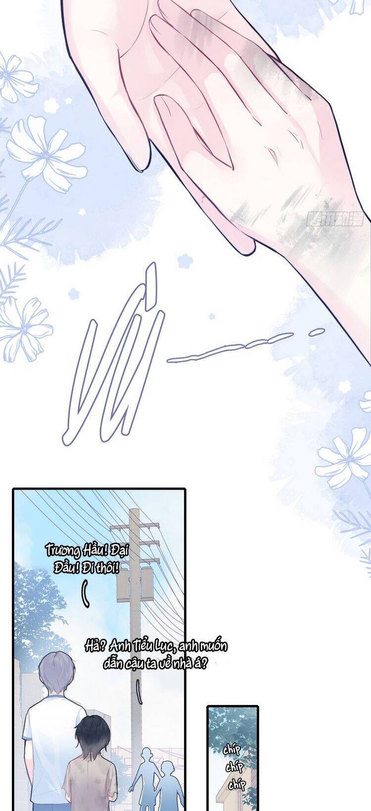 Anh Ấy Chưa Từng Rơi Xuống Chapter  87 - 11
