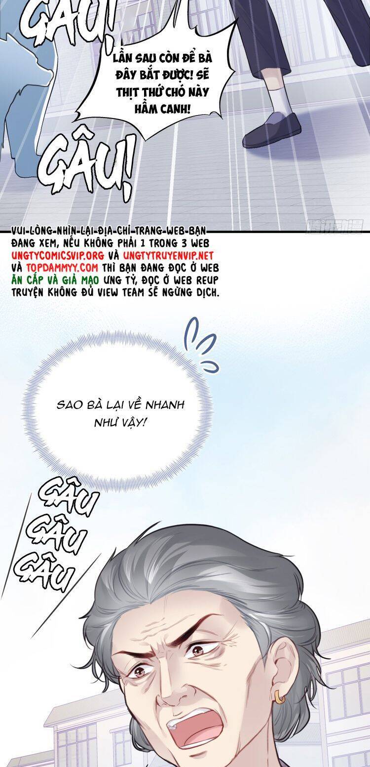 Anh Ấy Chưa Từng Rơi Xuống Chapter 87 - 36