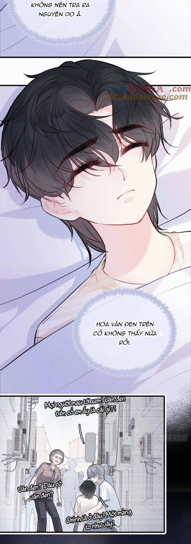 Anh Ấy Chưa Từng Rơi Xuống Chapter 89 - 14