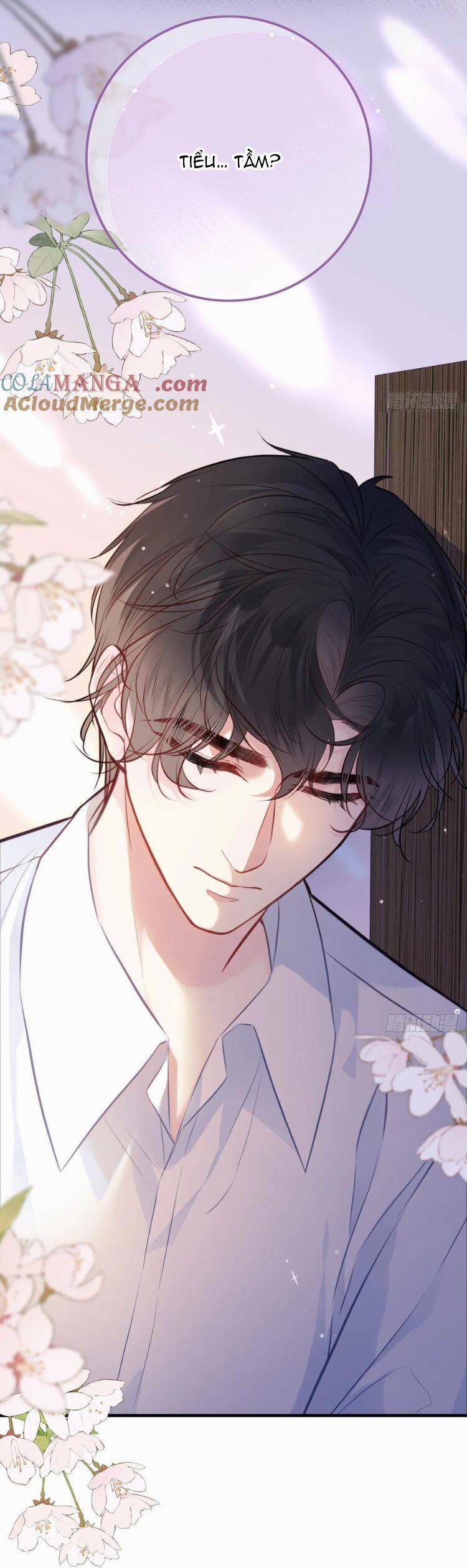 Anh Ấy Chưa Từng Rơi Xuống Chapter  89 - 32