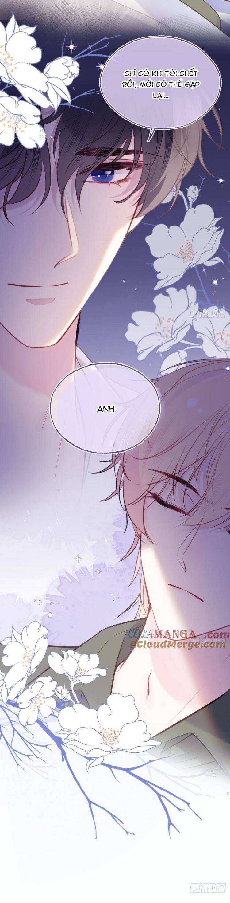 Anh Ấy Chưa Từng Rơi Xuống Chapter  90 - 29