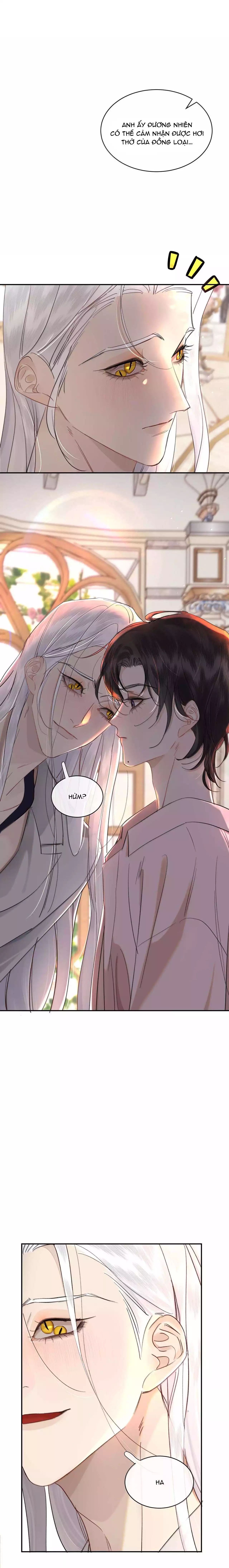 Không Thể Cưỡng Lại Người Yêu Dính Người Chapter 79 - 12