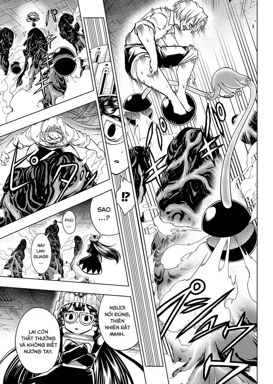 Bất Hạnh Và Bất Tử Chapter 201 - 17