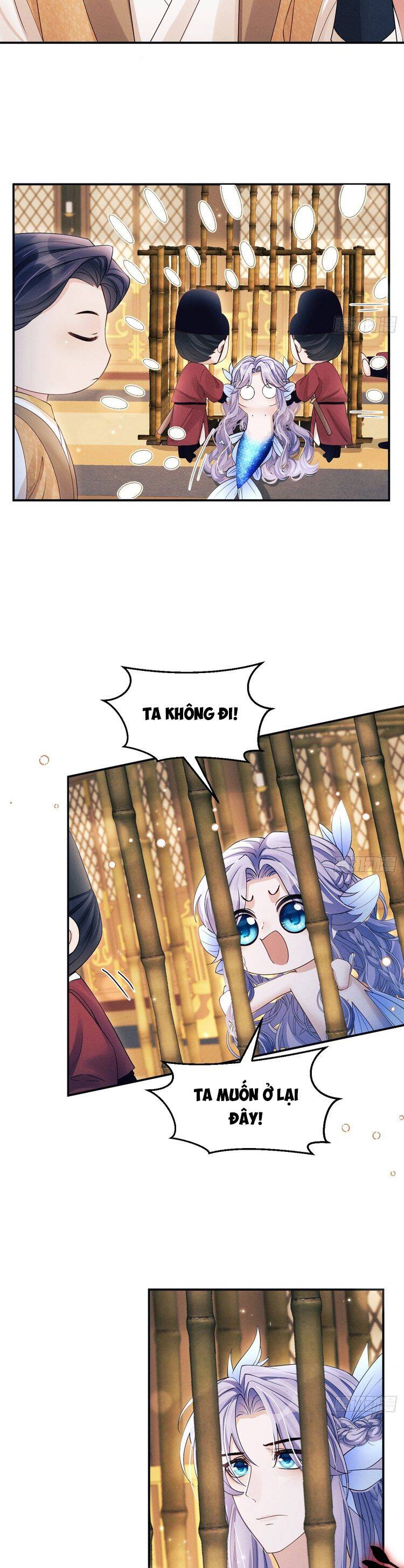 Tôi Hoài Nghi Ảnh Đế Đang Theo Đuổi Tôi Chapter  157 - 4