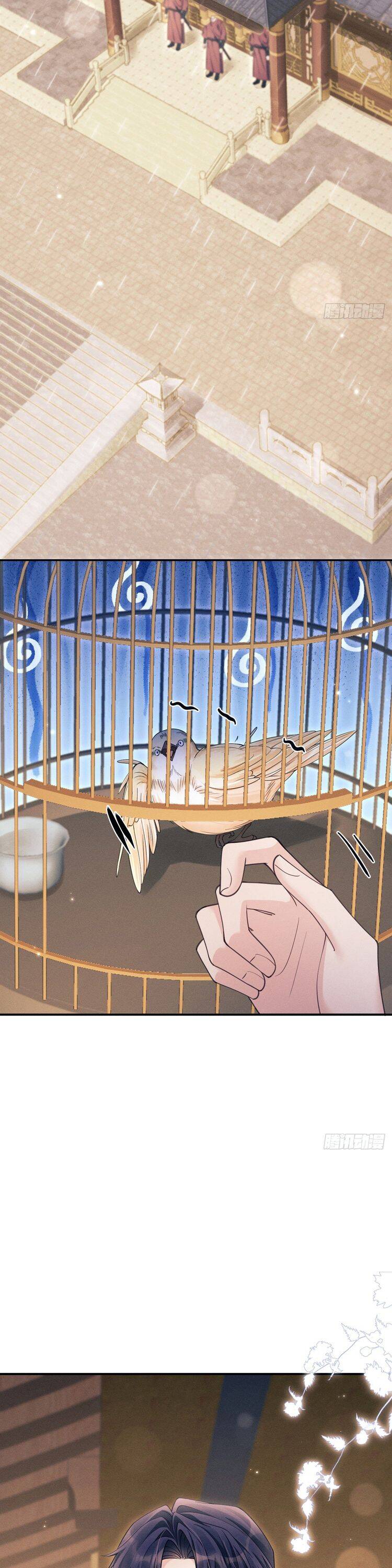 Tôi Hoài Nghi Ảnh Đế Đang Theo Đuổi Tôi Chapter  165 - 11