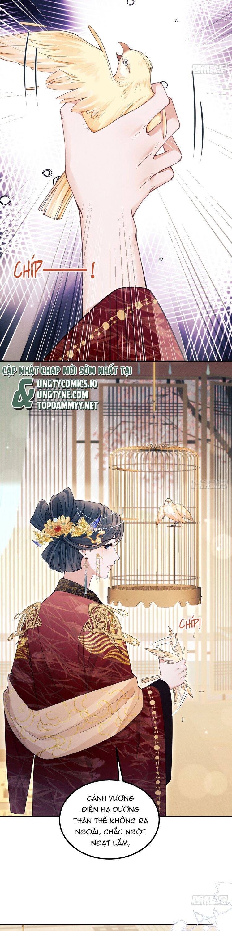 Tôi Hoài Nghi Ảnh Đế Đang Theo Đuổi Tôi Chapter  165 - 8