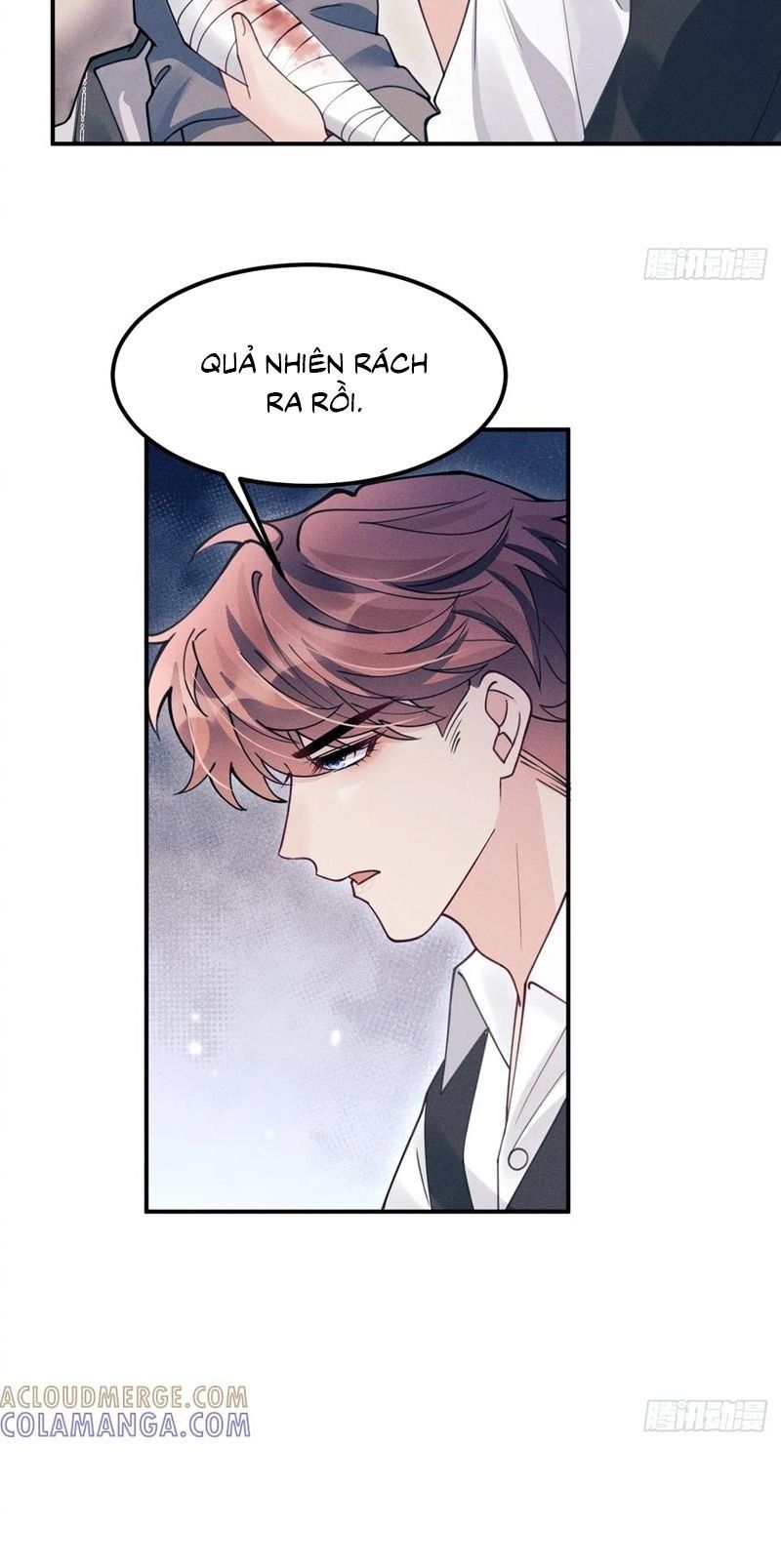 Tôi Hoài Nghi Ảnh Đế Đang Theo Đuổi Tôi Chapter 203 - 56