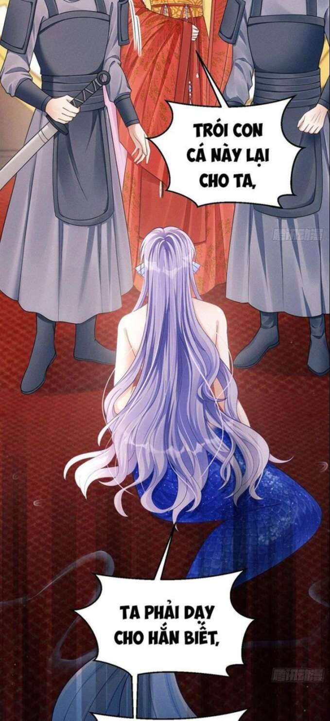 Tôi Hoài Nghi Ảnh Đế Đang Theo Đuổi Tôi Chapter  31 - 71