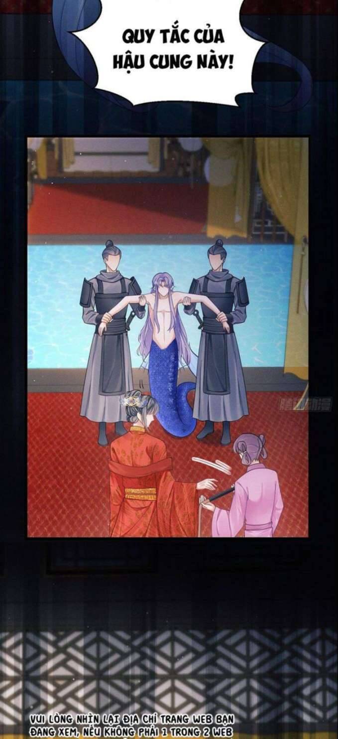 Tôi Hoài Nghi Ảnh Đế Đang Theo Đuổi Tôi Chapter  31 - 72