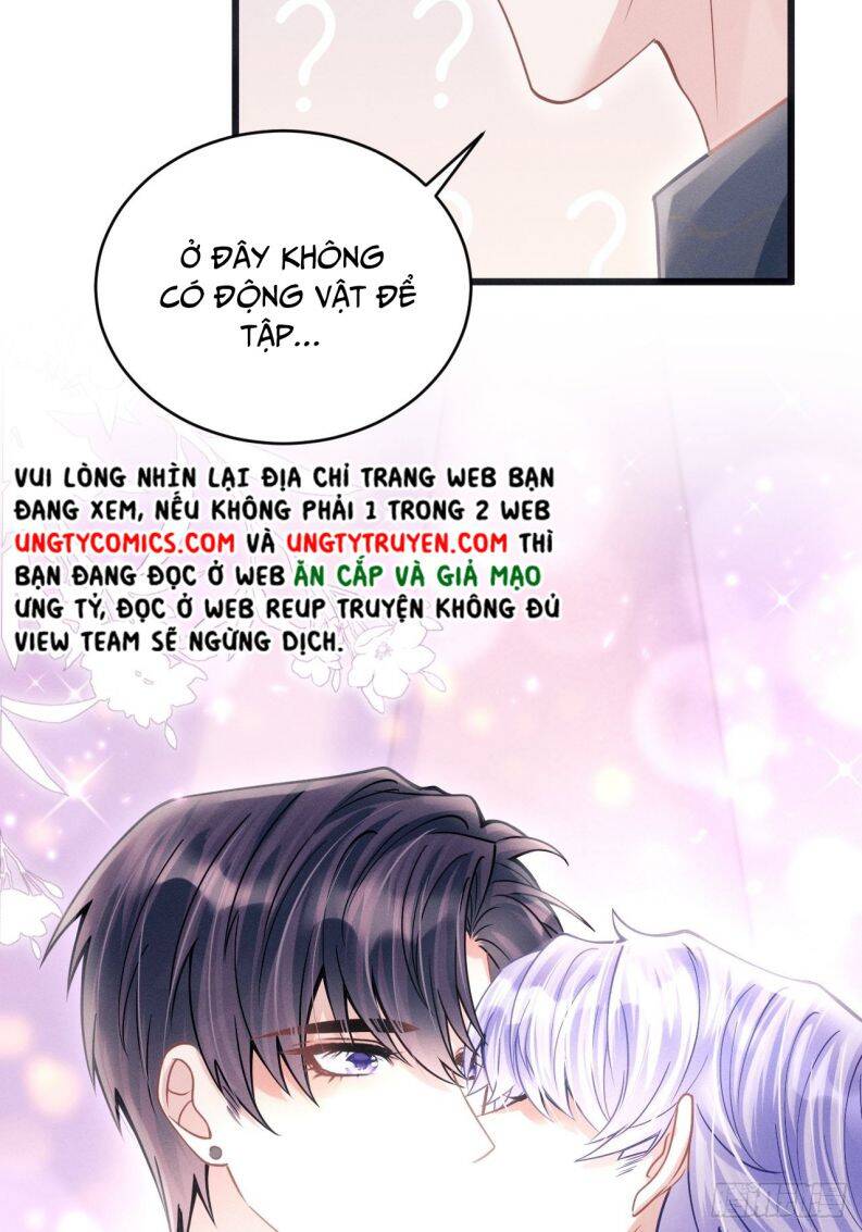 Tôi Hoài Nghi Ảnh Đế Đang Theo Đuổi Tôi Chapter  57 - 37