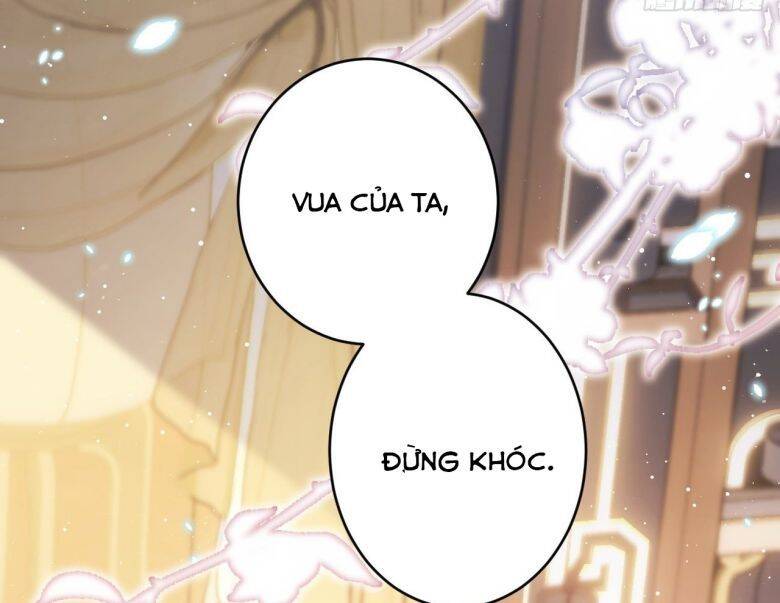 Tôi Hoài Nghi Ảnh Đế Đang Theo Đuổi Tôi Chapter  6 - 74