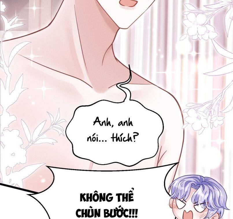 Tôi Hoài Nghi Ảnh Đế Đang Theo Đuổi Tôi Chapter  60 - 80